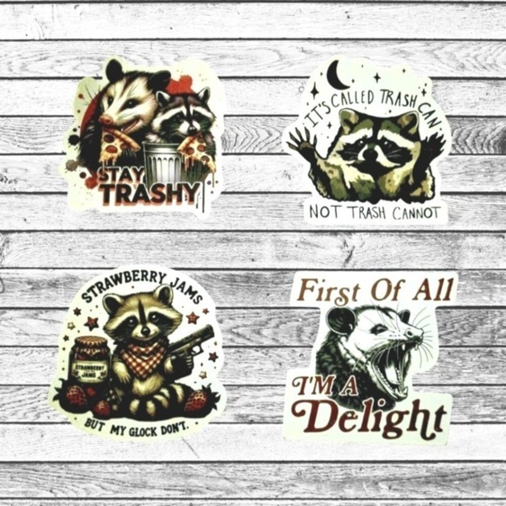 Cute Opossum & Raccoon Magnet Set Trashy‎ Delight 4 Piece